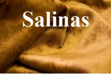 Каталог тканей Salinas (архив)