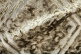 Ткань Acropolis col. 29-Tinsel