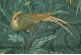 Портьерная ткань Pheasant Hunt col. 