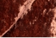 Ткань арт. Sepino col.091 медный