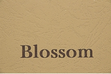  Каталог тканей Blossom collection